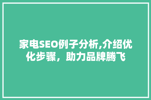 家电SEO例子分析,介绍优化步骤，助力品牌腾飞  第1张