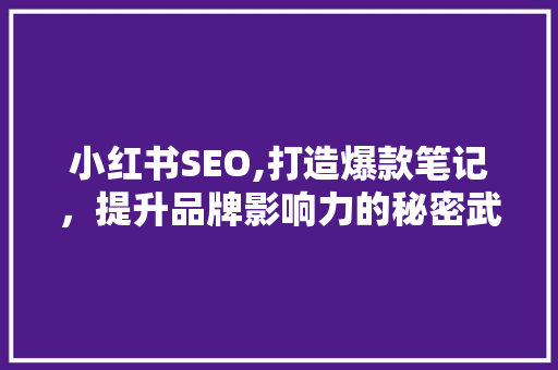 小红书SEO,打造爆款笔记，提升品牌影响力的秘密武器