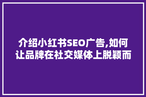 介绍小红书SEO广告,如何让品牌在社交媒体上脱颖而出