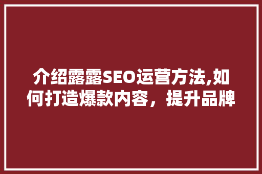 介绍露露SEO运营方法,如何打造爆款内容，提升品牌影响力