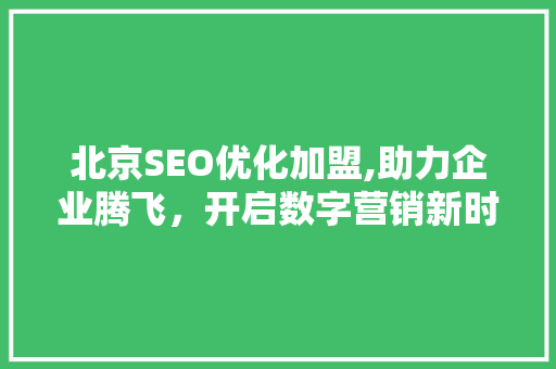 北京SEO优化加盟,助力企业腾飞，开启数字营销新时代
