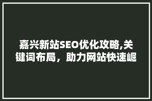 嘉兴新站SEO优化攻略,关键词布局，助力网站快速崛起