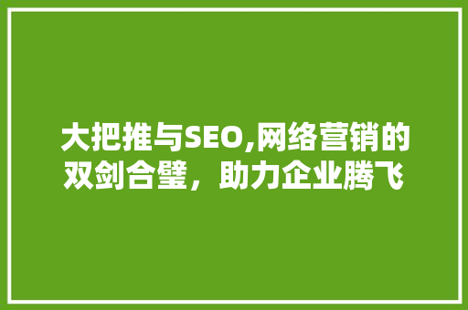 大把推与SEO,网络营销的双剑合璧，助力企业腾飞