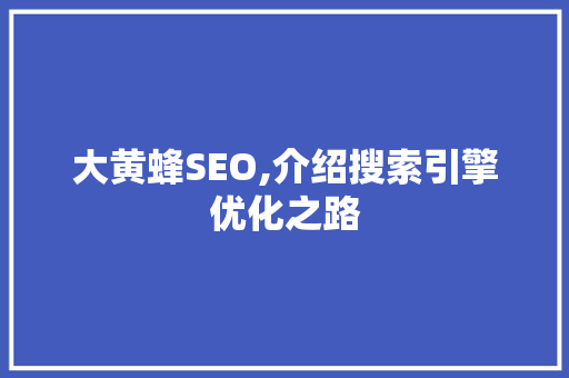大黄蜂SEO,介绍搜索引擎优化之路
