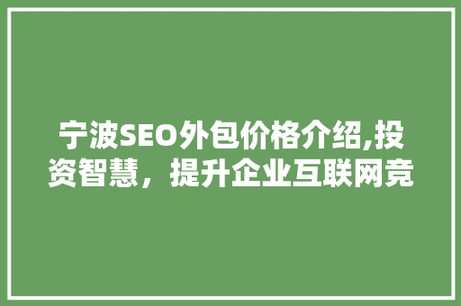 宁波SEO外包价格介绍,投资智慧，提升企业互联网竞争力  第1张