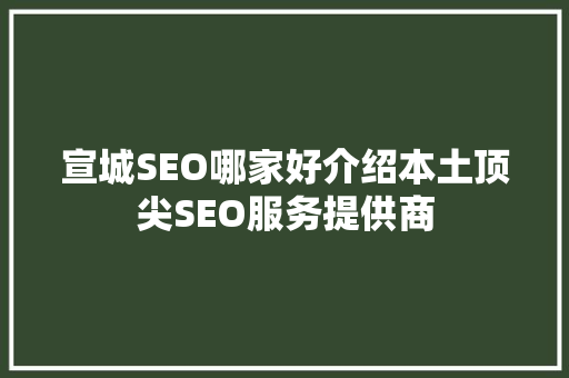 宣城SEO哪家好介绍本土顶尖SEO服务提供商