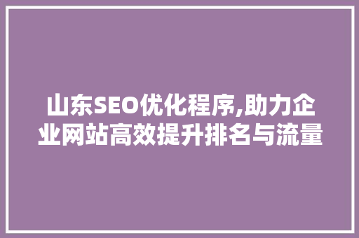 山东SEO优化程序,助力企业网站高效提升排名与流量