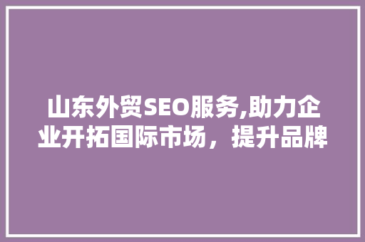 山东外贸SEO服务,助力企业开拓国际市场，提升品牌影响力  第1张
