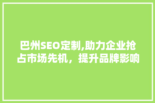 巴州SEO定制,助力企业抢占市场先机，提升品牌影响力
