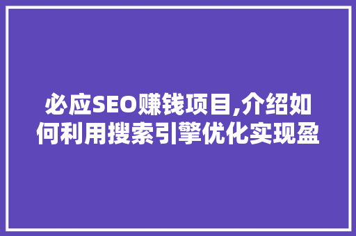 必应SEO赚钱项目,介绍如何利用搜索引擎优化实现盈利