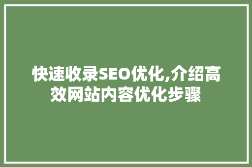 快速收录SEO优化,介绍高效网站内容优化步骤