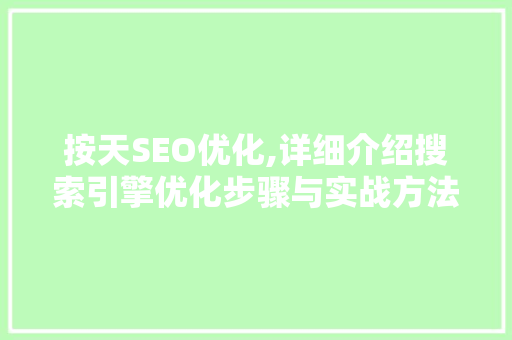按天SEO优化,详细介绍搜索引擎优化步骤与实战方法