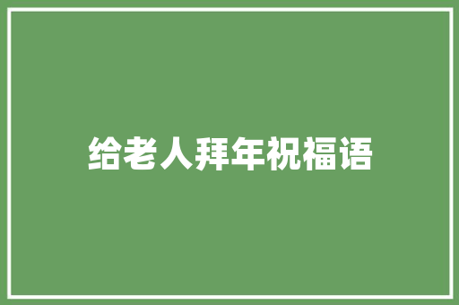 Flash8技术与艺术的完美融合