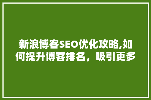 新浪博客SEO优化攻略,如何提升博客排名，吸引更多读者