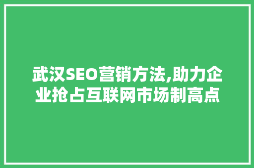 武汉SEO营销方法,助力企业抢占互联网市场制高点