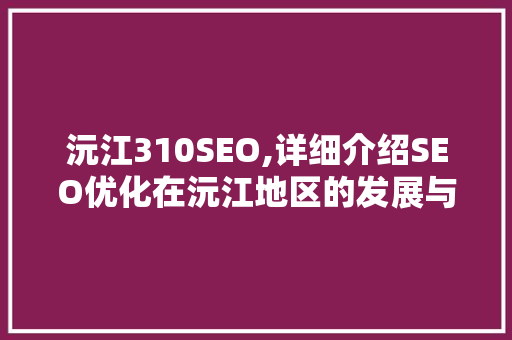 沅江310SEO,详细介绍SEO优化在沅江地区的发展与机遇  第1张