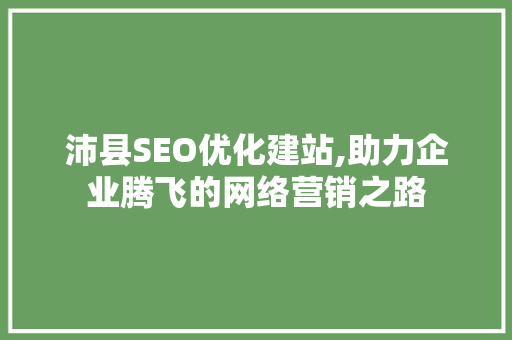 沛县SEO优化建站,助力企业腾飞的网络营销之路