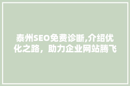 泰州SEO免费诊断,介绍优化之路，助力企业网站腾飞