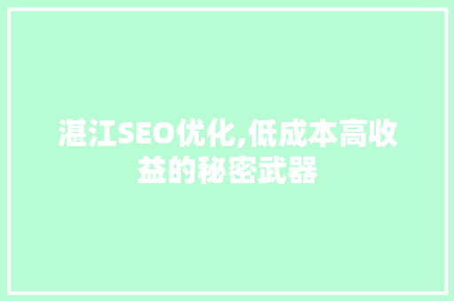 湛江SEO优化,低成本高收益的秘密武器