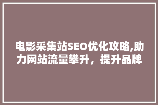 电影采集站SEO优化攻略,助力网站流量攀升，提升品牌影响力