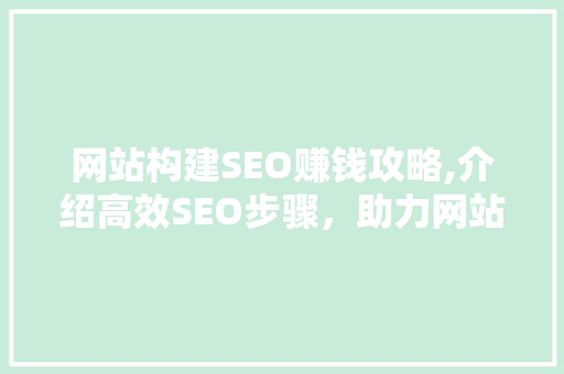 网站构建SEO赚钱攻略,介绍高效SEO步骤，助力网站盈利