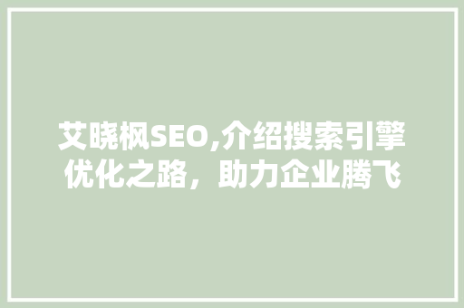 艾晓枫SEO,介绍搜索引擎优化之路，助力企业腾飞