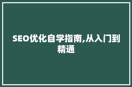 SEO优化自学指南,从入门到精通