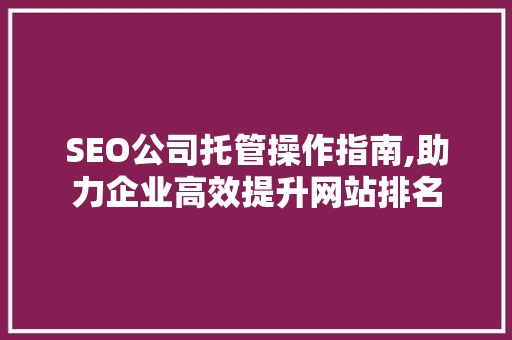 SEO公司托管操作指南,助力企业高效提升网站排名  第1张