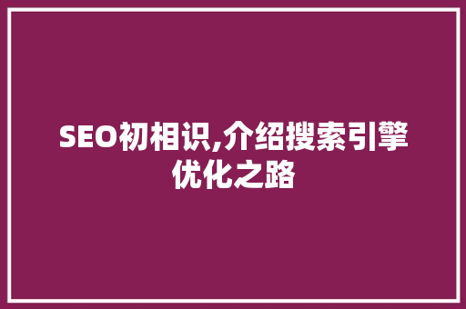 SEO初相识,介绍搜索引擎优化之路  第1张