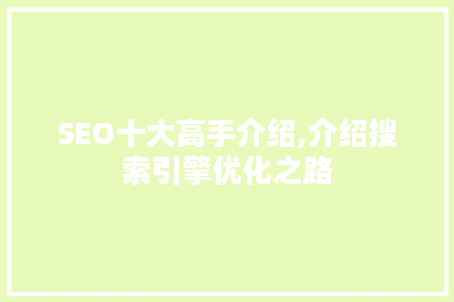 SEO十大高手介绍,介绍搜索引擎优化之路
