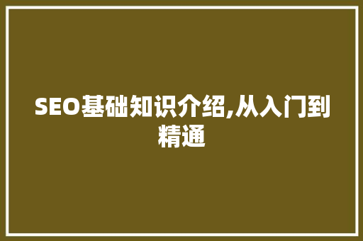 SEO基础知识介绍,从入门到精通  第1张