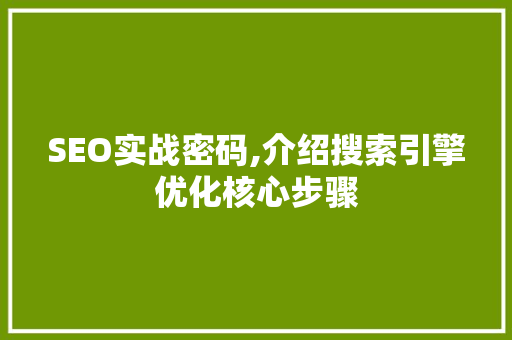 SEO实战密码,介绍搜索引擎优化核心步骤