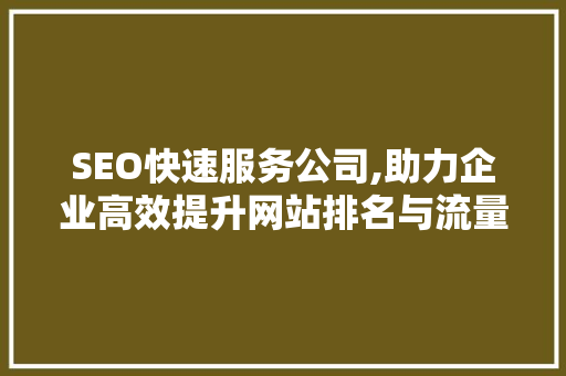 SEO快速服务公司,助力企业高效提升网站排名与流量