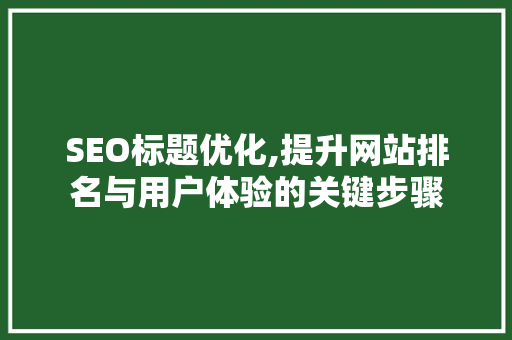 SEO标题优化,提升网站排名与用户体验的关键步骤  第1张
