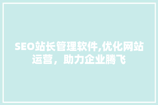 SEO站长管理软件,优化网站运营，助力企业腾飞
