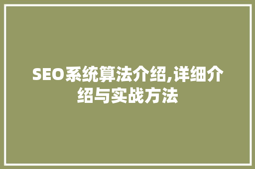 SEO系统算法介绍,详细介绍与实战方法