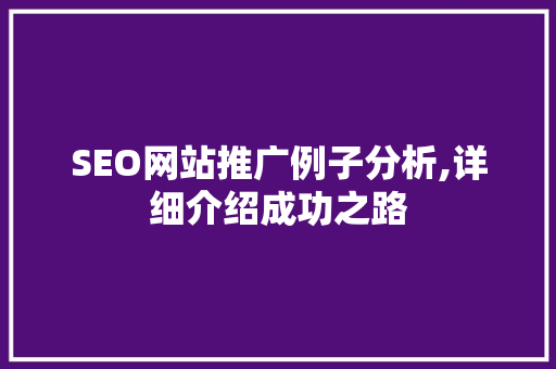 SEO网站推广例子分析,详细介绍成功之路