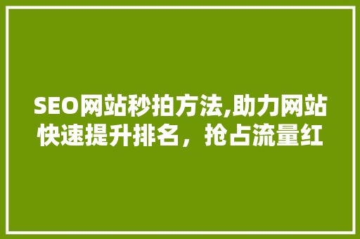 SEO网站秒拍方法,助力网站快速提升排名，抢占流量红利  第1张