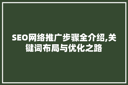 SEO网络推广步骤全介绍,关键词布局与优化之路