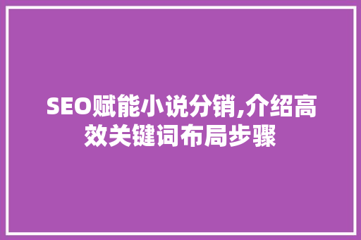 SEO赋能小说分销,介绍高效关键词布局步骤