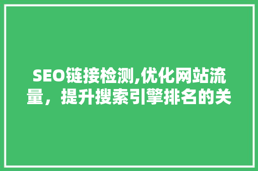 SEO链接检测,优化网站流量，提升搜索引擎排名的关键利器