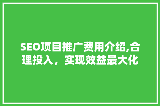 SEO项目推广费用介绍,合理投入，实现效益最大化