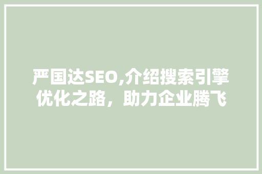 严国达SEO,介绍搜索引擎优化之路，助力企业腾飞
