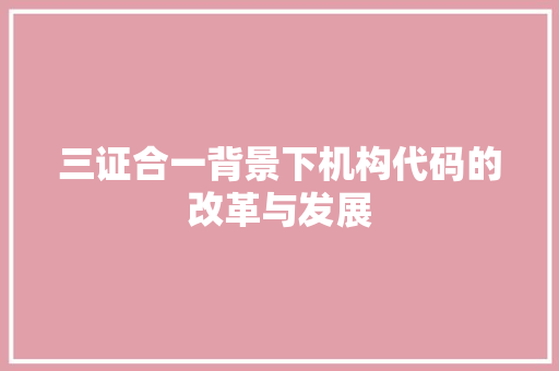 三证合一背景下机构代码的改革与发展  第1张