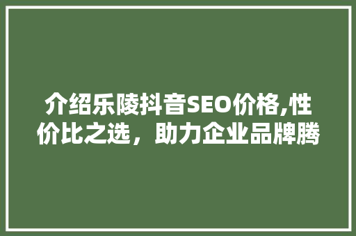 介绍乐陵抖音SEO价格,性价比之选，助力企业品牌腾飞  第1张