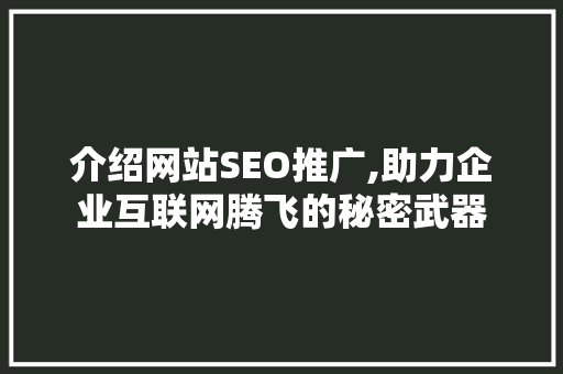 介绍网站SEO推广,助力企业互联网腾飞的秘密武器