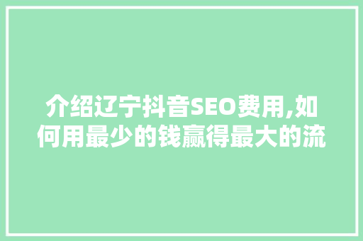 介绍辽宁抖音SEO费用,如何用最少的钱赢得最大的流量