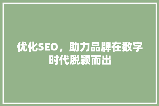 优化SEO，助力品牌在数字时代脱颖而出