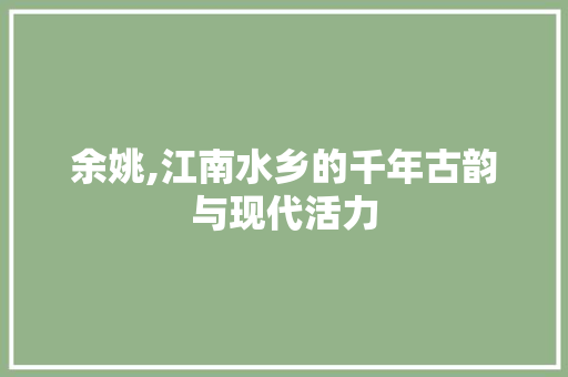 余姚,江南水乡的千年古韵与现代活力
