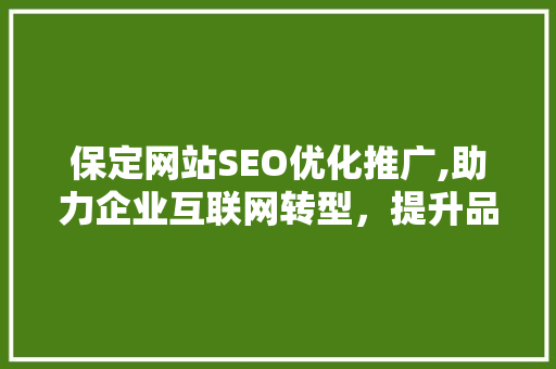 保定网站SEO优化推广,助力企业互联网转型，提升品牌影响力  第1张